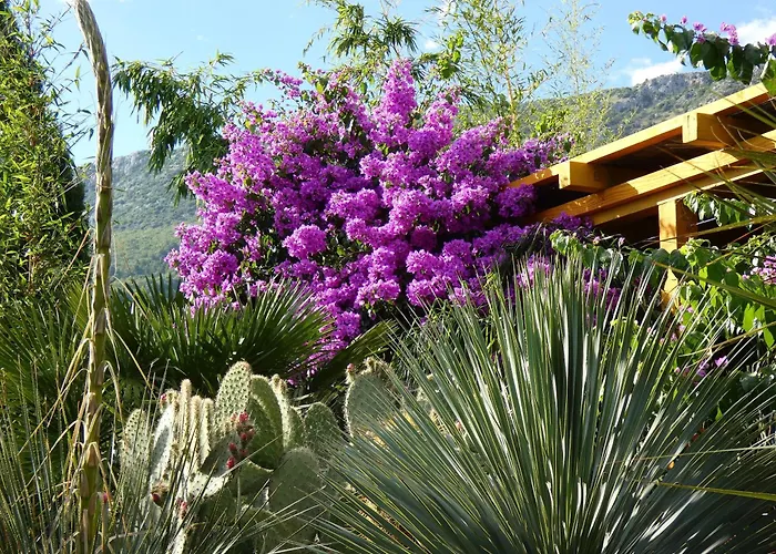 Villa Tropica