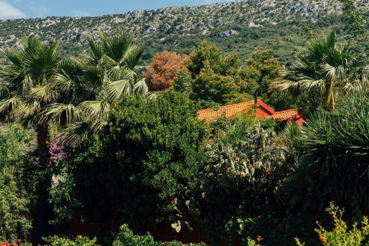 Tropica, Total Privacy, Tropical Garden And Private Pool