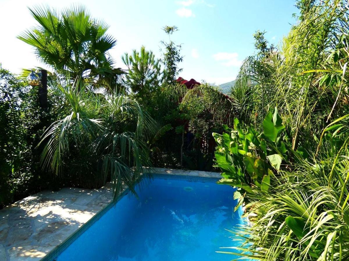 Villa Tropica, Total Privacy, Tropical Garden And Private Pool Kastela