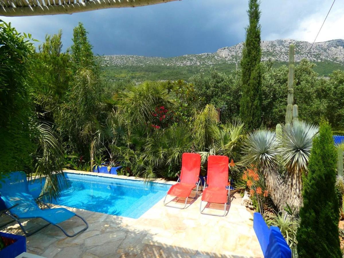 Tropica, Total Privacy, Tropical Garden And Private Pool