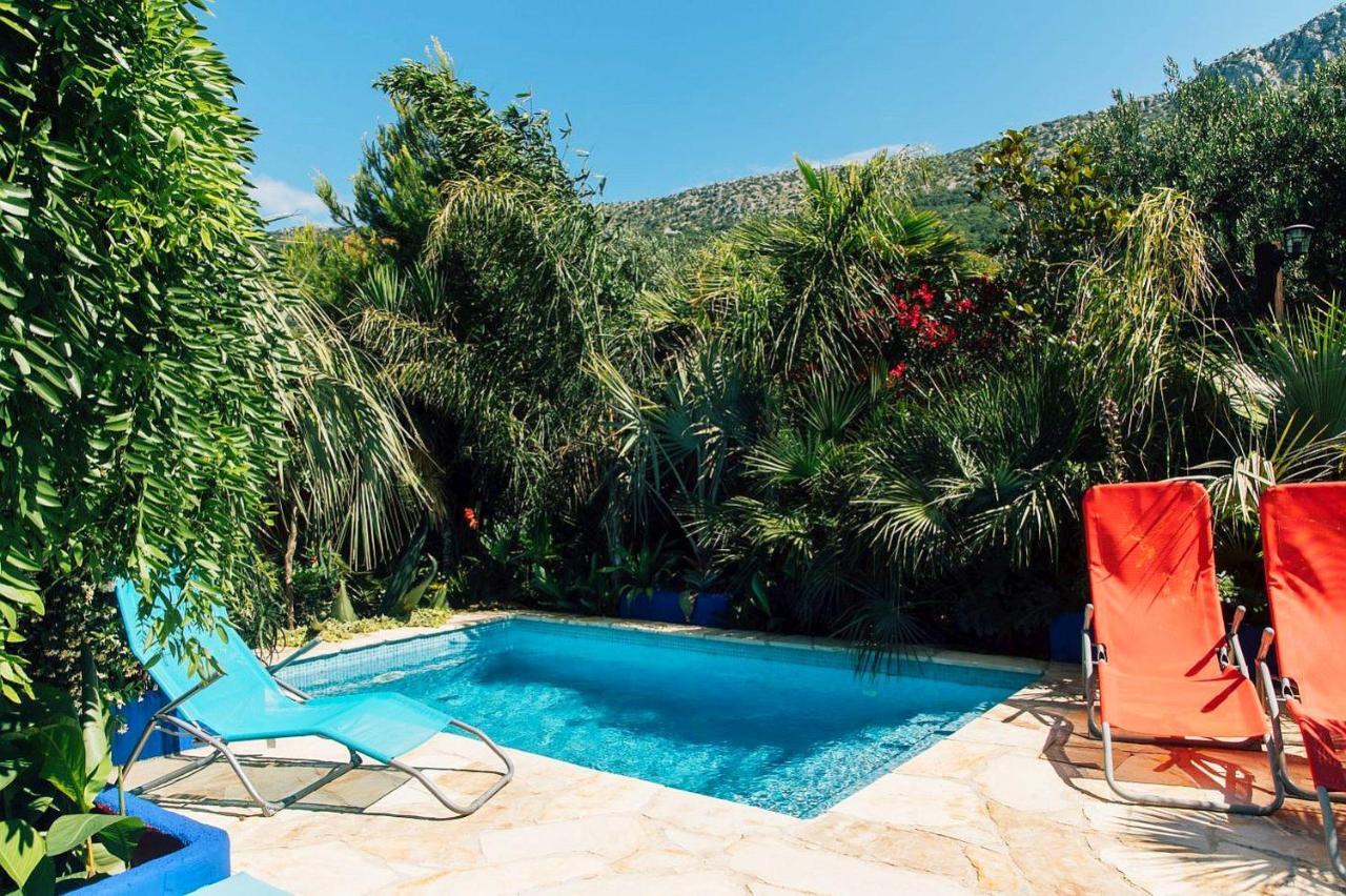 Villa Tropica, Total Privacy, Tropical Garden And Private Pool