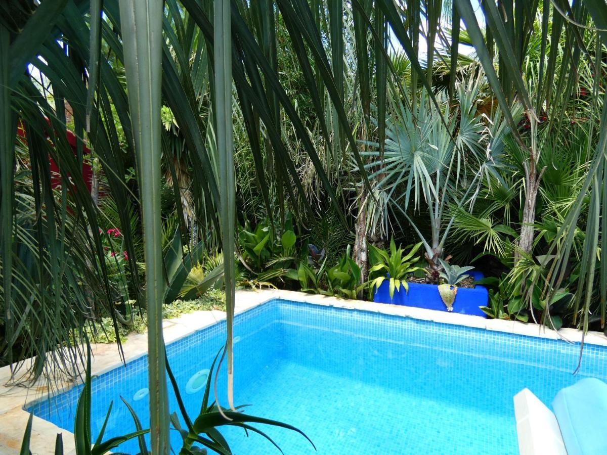 Villa Tropica, Total Privacy, Tropical Garden And Private Pool