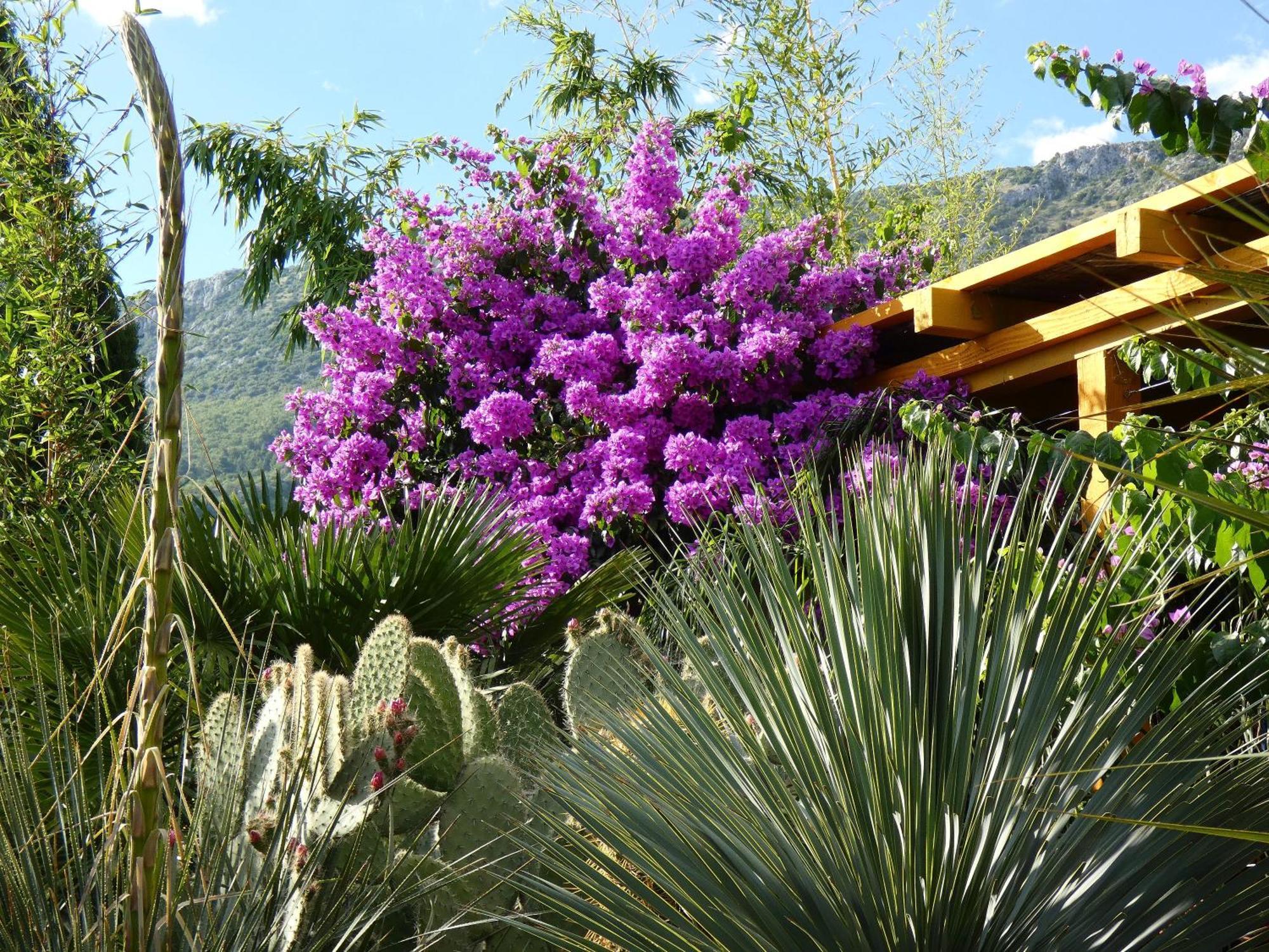 Villa Tropica, Total Privacy, Tropical Garden And Private Pool *